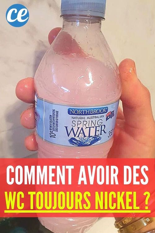 Comment avoir des WC toujours nickel 