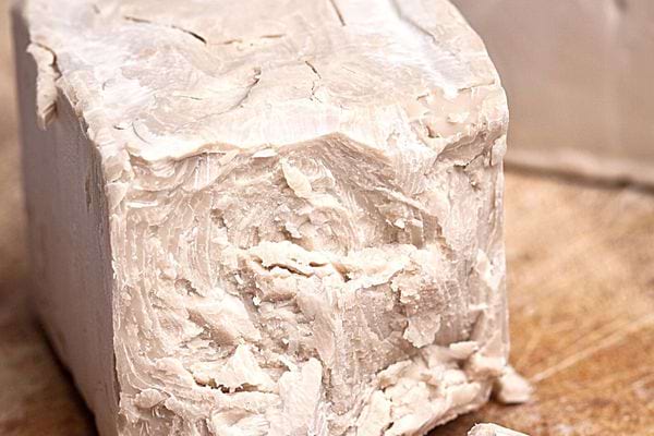Un gros bloc de levure boulangère 
