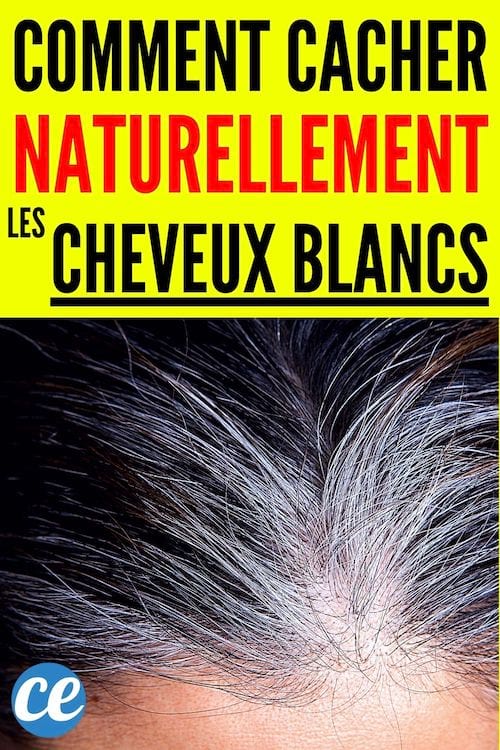 Comment cacher naturellement les cheveux blancs 
