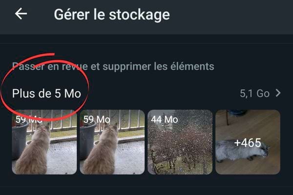 Des images stockées dans WhatsApp