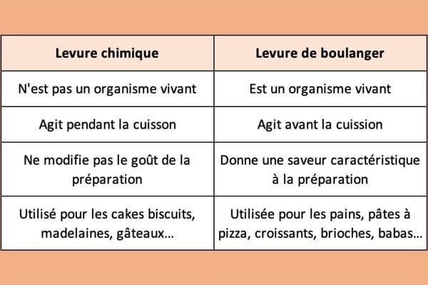 Quelle Différence Entre Levure Chimique et Boulangère