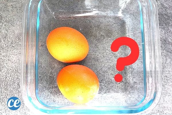 Deux oeufs avec des coquilles dans un récipient en verre sans couvercle