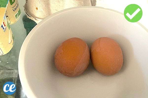 Deux oeufs dans un bol en plastique