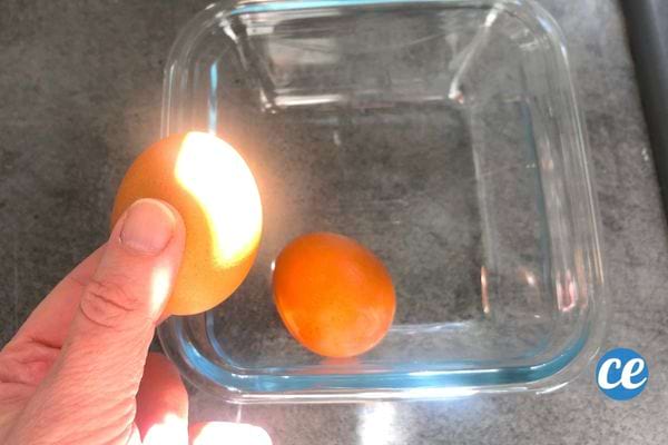 Une personne tenant un oeuf dans sa main au dessus d'un récipient en verre contenant un oeuf