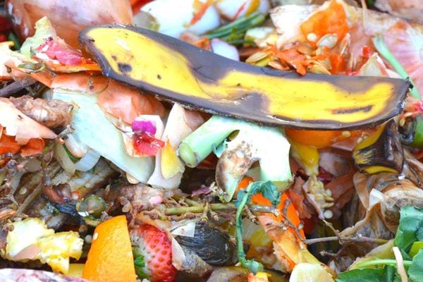 Un ensemble de compost 