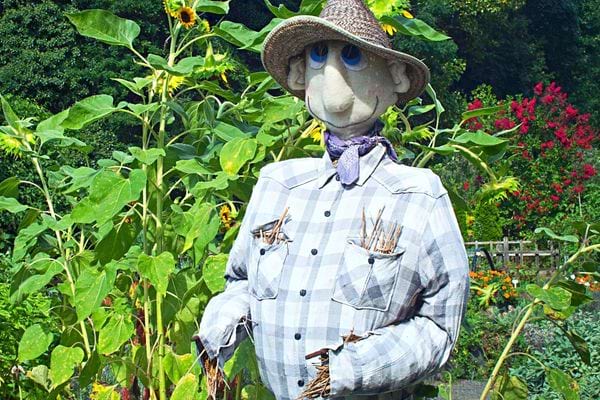 Un épouvantail dans un jardin 