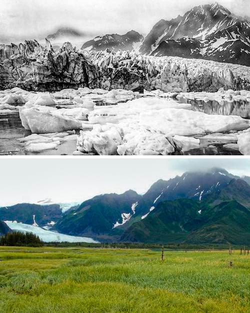 Le glacier pedersenen en Alaska avant après