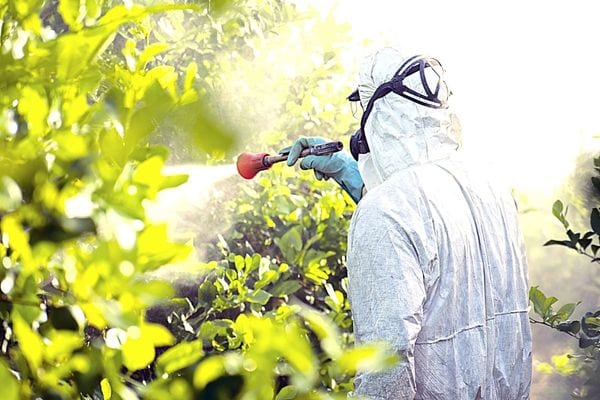 Un homme en combinaison dans la nature avec un jet d'eau