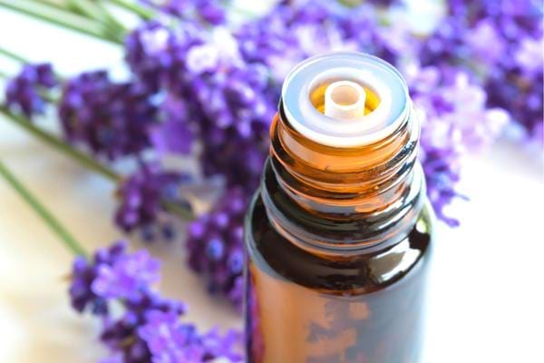 De l'huile essentielle de lavande pour soulager les crises d'asthme sans médicaments