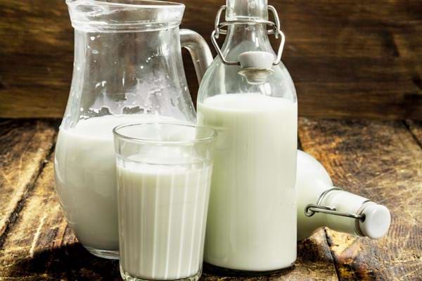 Du lait de vache qui peut être dangereux pour la santé