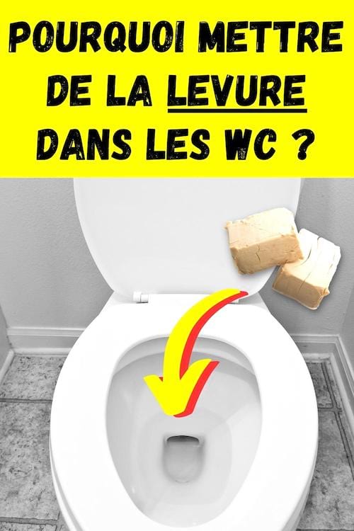 Des cubes de levure qui sont jetés dans les toilettes pour les laver