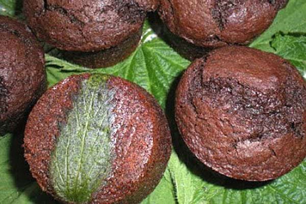 Several muffins with nettles, chocolate and chilli