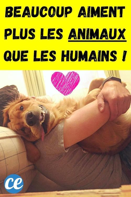 Un chien qui fait un gros câlin à son maître qui l'aime plus que les autres humains