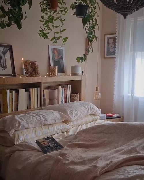 Une chambre avec des plantes supendues au plafond