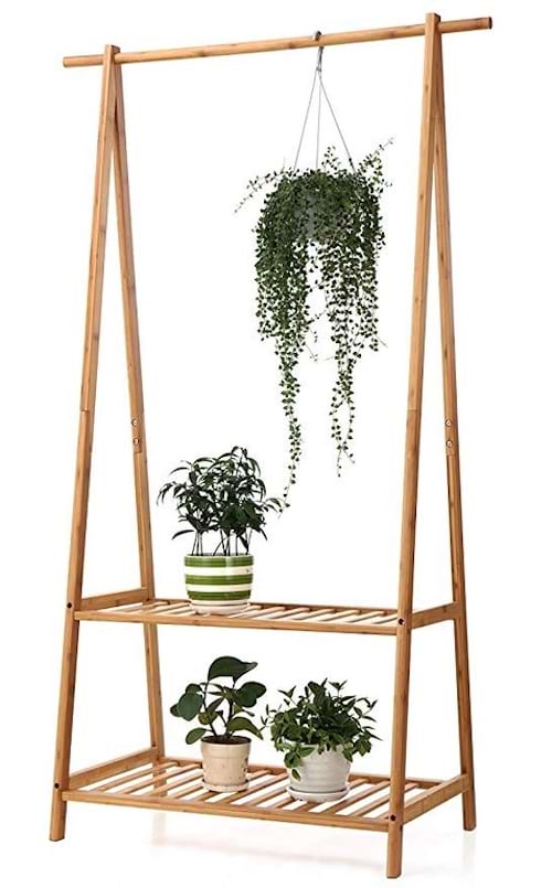 Plusieurs plantes sur un portemanteau en bois 