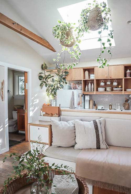 Des plantes qui sont suspendues à la lucarne d'une fenêtre 