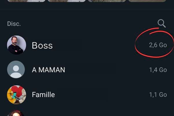 Le poids des fichiers partagés sur WhatsApp