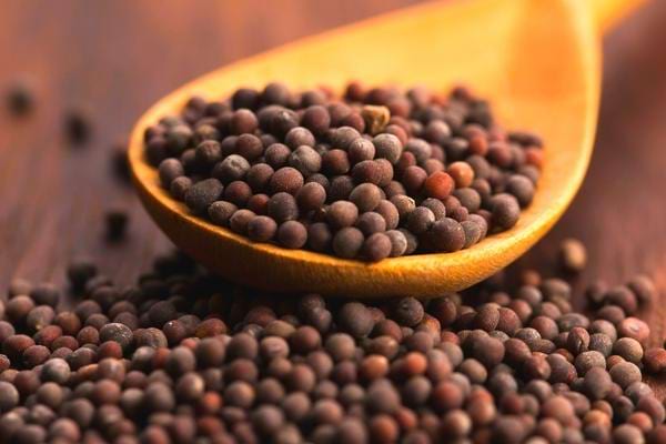 Du poivre dans une cuillère ayant des effets anti-inflammatoire