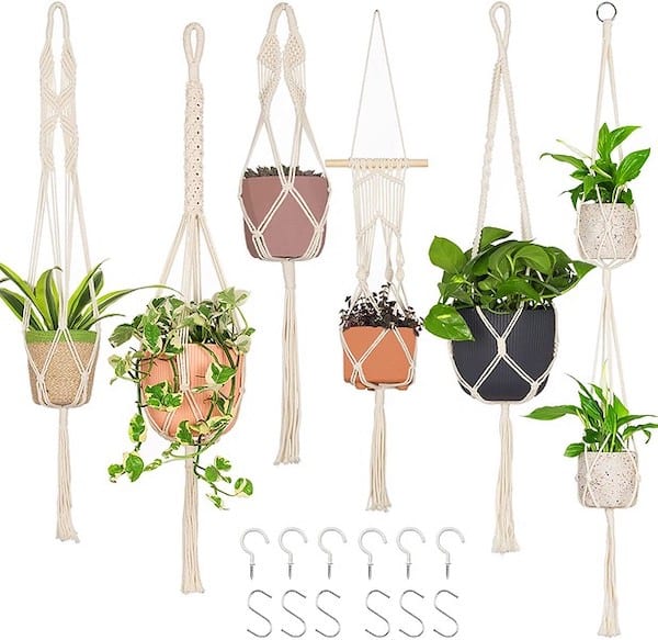Plusieurs plantes avec des cordes en coton macramé 