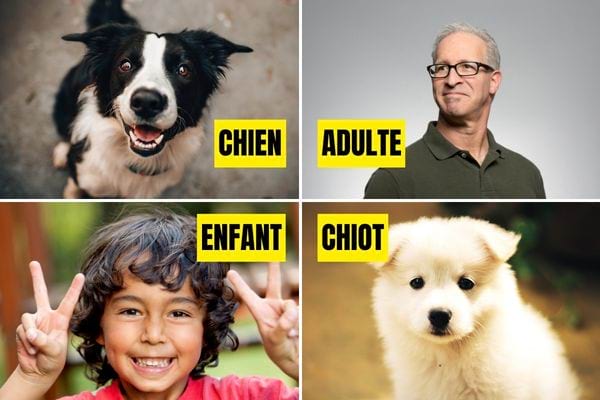 Un petit garçon avec un homme assez agée avec un chien noir et blanc avec un petit chiot blanc