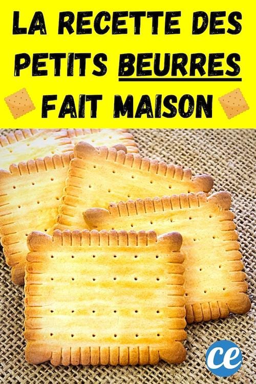 La recette des petites beurres maison fait maison traditionnelle