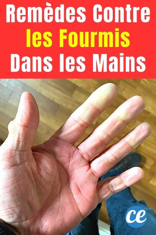 15 remèdes contre les fourmis dans les mains pour en finir avec la paresthésie