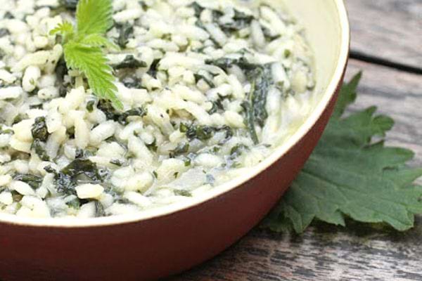 A plate filled with nettle risotto