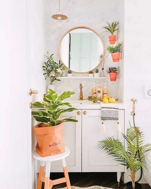 Uma casa de banho com várias plantas em vasos individuais de terracota