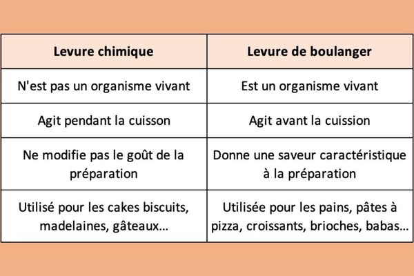 Différence Levure Chimique Et Levure De Boulanger