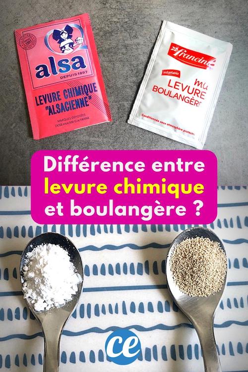 Quelle Différence Entre Levure Chimique et Boulangère