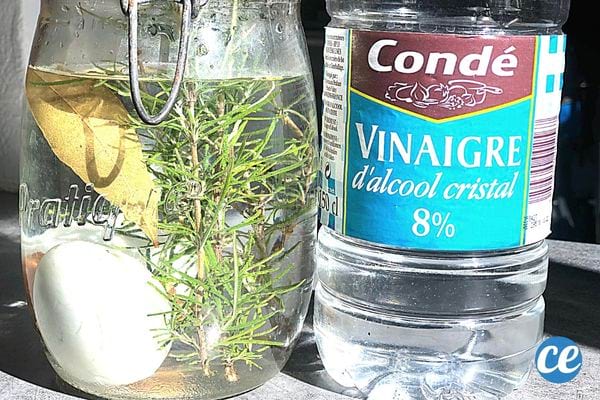 Un oeuf sans coquille dans une bouteille en verre remplie de vinaigre blanc