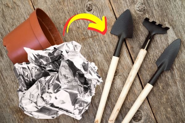 De l'aluminium avec un pot de fleur et des outils de jardin 