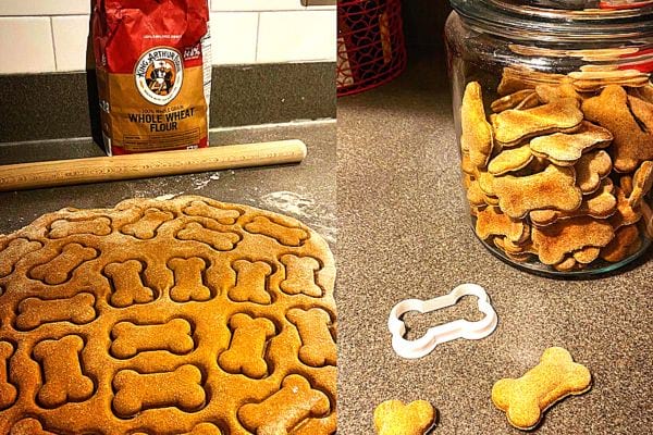 Plusieurs biscuits pour chien dans un gros bocal en verre