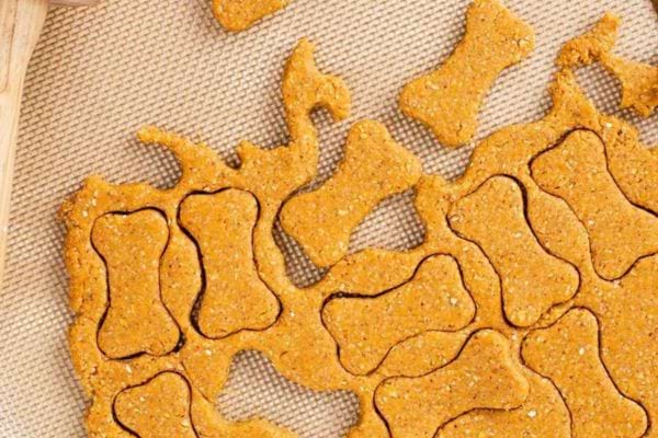 Plusieurs biscuits pour chien qui se décollent