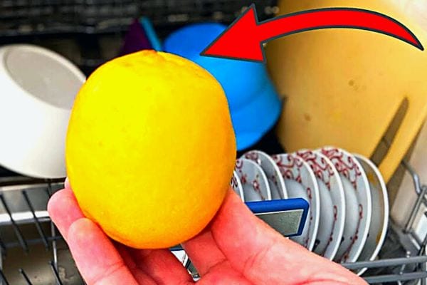 Une personne tenant un citron devant un lave-vaisselle 