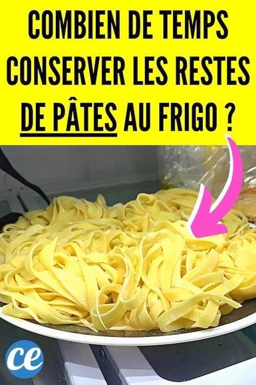 Combien de Temps Peuton Conserver les Restes de Pâtes au Frigo (Sans Risque)