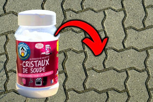 Des cristaux de soude au dessus de pavés autobloquants