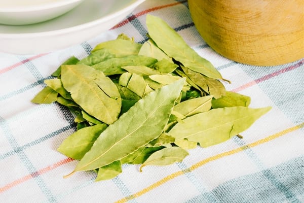 Des feuilles de laurier sur une table qui repousse les charançons