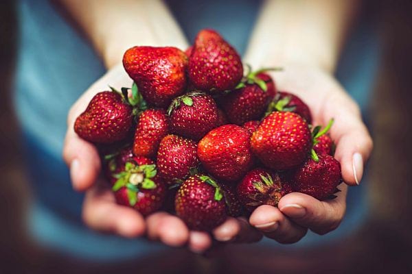 Une personne tenant des fraises dans ses mains 