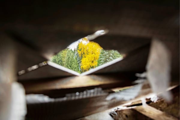 une ouverture de toiture qui laisse entrer les chauves-souris
