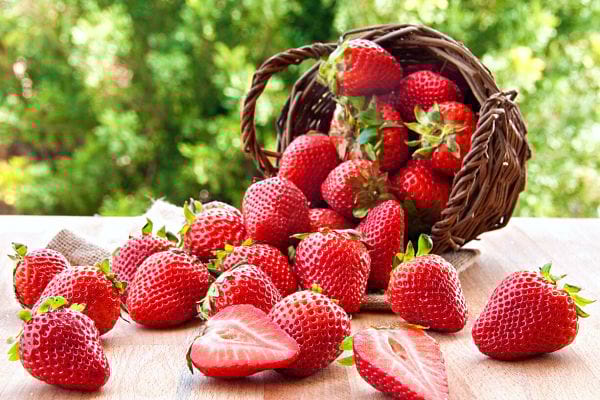 Un panier avec des fraises dans la nature 