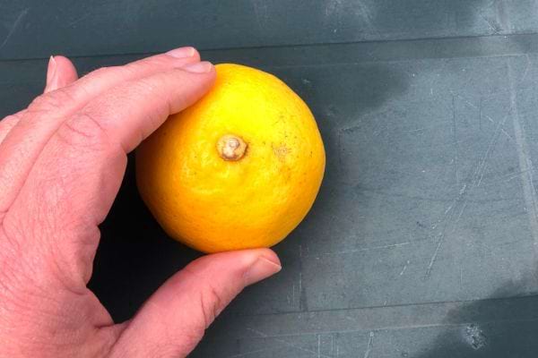 Une personne tenant un citron entier sur une table verte