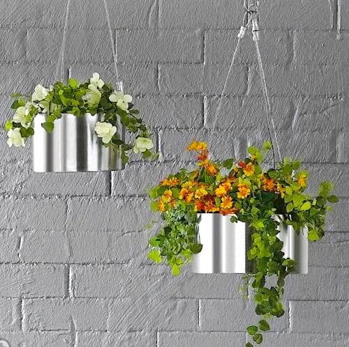 Deux plantes dans de l'acier inoxydable suspendu