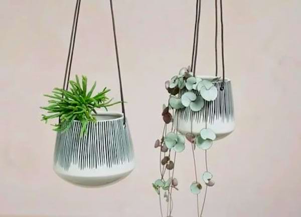 Deux plantes dans des pots avec un design scandinave suspendus