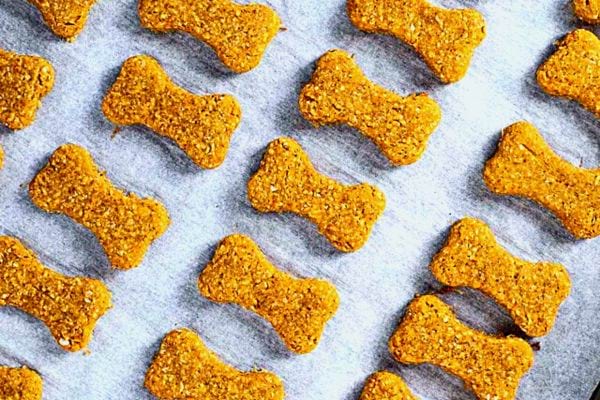 Plusieurs biscuits pour chien sur un papier cuisson