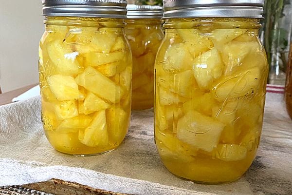 Plusieurs bocaux en verre remplis de fruits au sirop