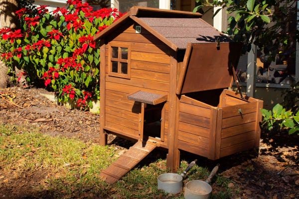 Un petit poulailler ouvert dans un jardin