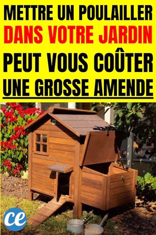 Mettre un poulailler dans votre jardin peut vous coûter une grosse amende