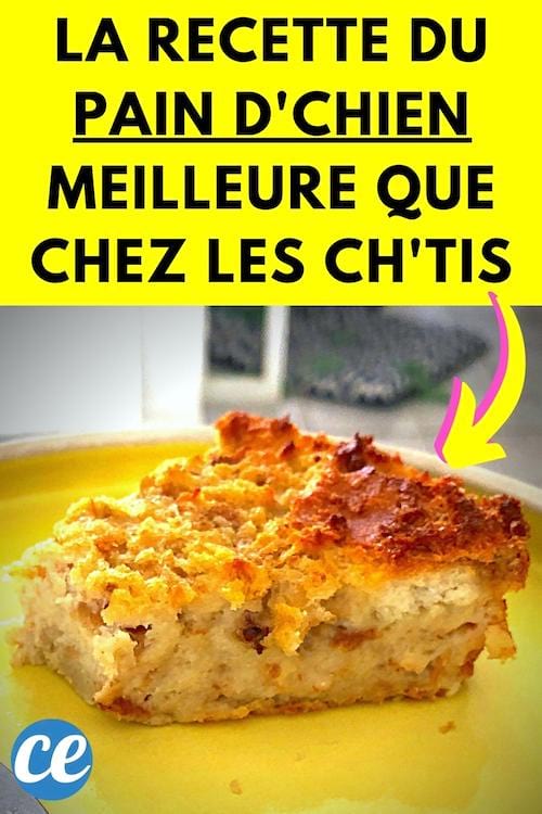 La recette du pain d'chien du nord facile et rapide à faire