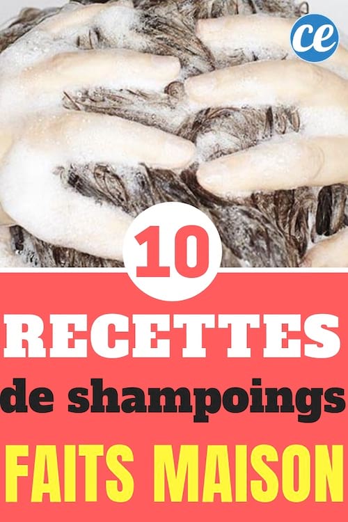 10 recettes de shampoing faits maison